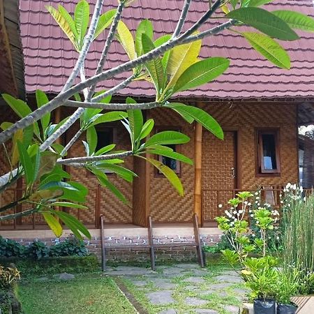 Mysha Guest House-Lombok Tetebatu Kültér fotó