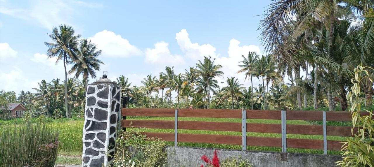 Mysha Guest House-Lombok Tetebatu Kültér fotó