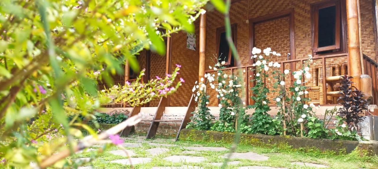 Mysha Guest House-Lombok Tetebatu Kültér fotó