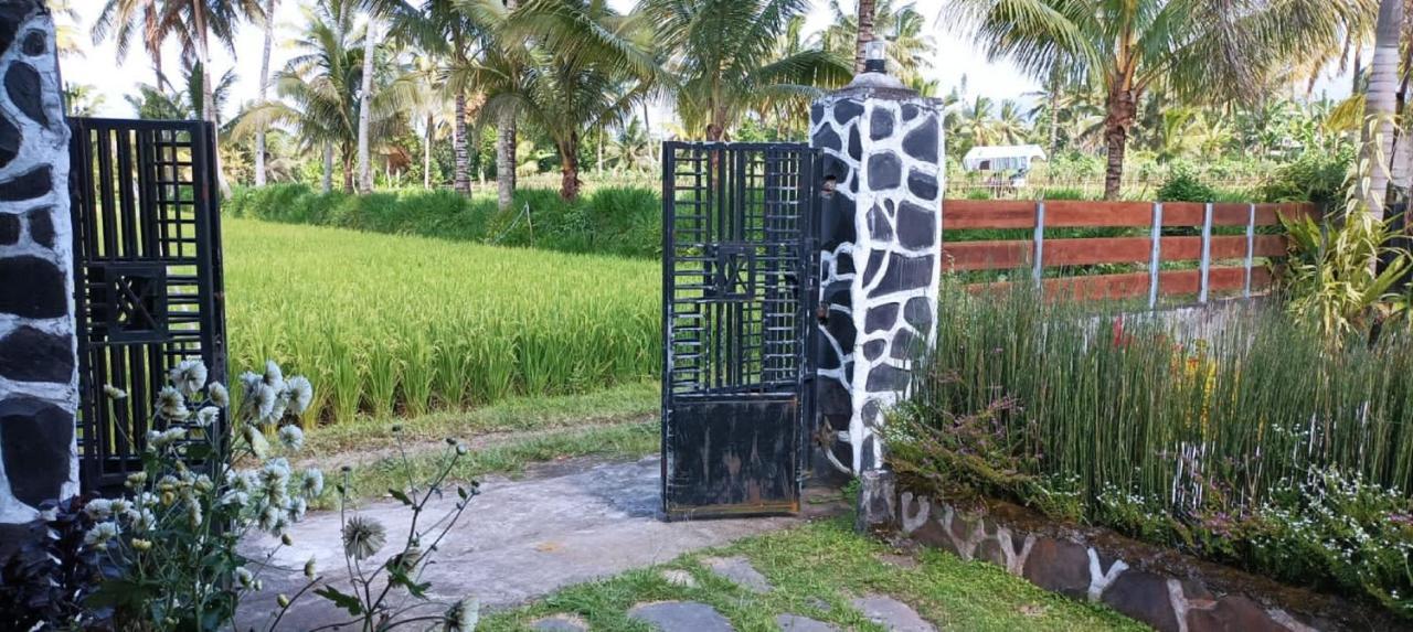 Mysha Guest House-Lombok Tetebatu Kültér fotó