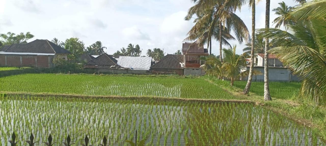 Mysha Guest House-Lombok Tetebatu Kültér fotó