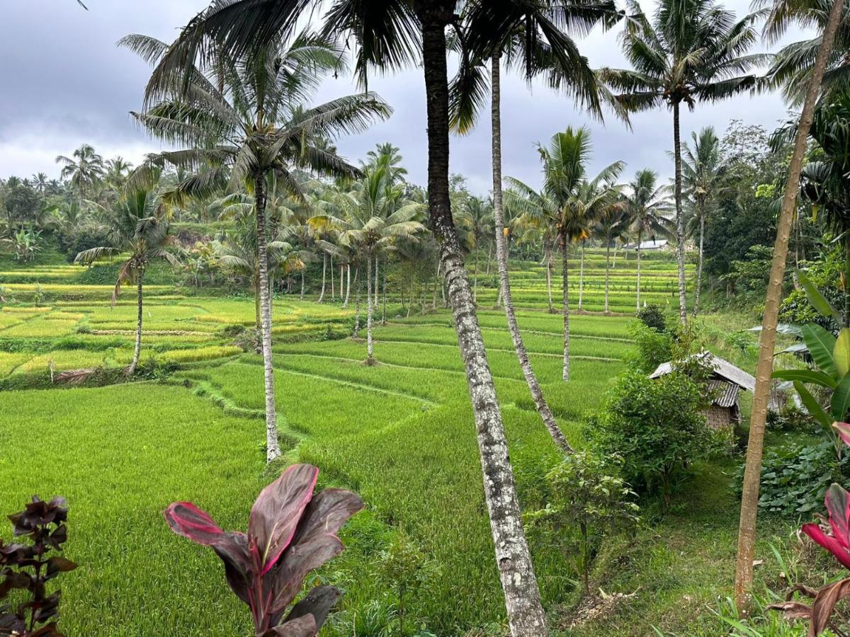Mysha Guest House-Lombok Tetebatu Kültér fotó