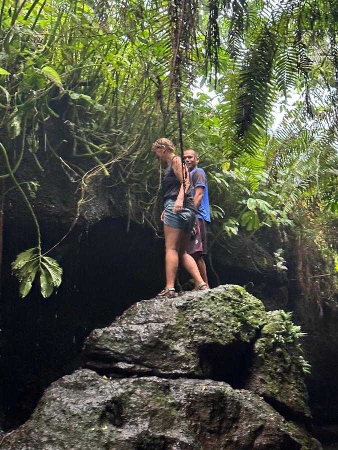 Mysha Guest House-Lombok Tetebatu Kültér fotó